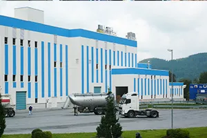 Shiraishi-Omya GmbH設立のイメージ