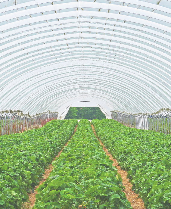 炭酸カルシウムが含まれる物のイメージ