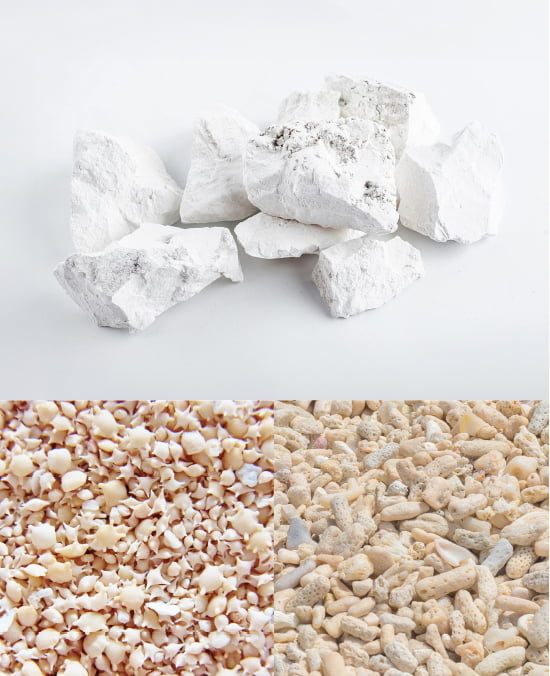 炭酸カルシウムが含まれる物のイメージ