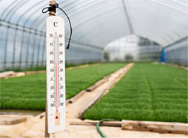 ホワイトクールの主成分の炭酸カルシウム