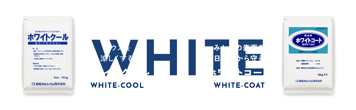 Bloom+ SHIRAISHI GROUP