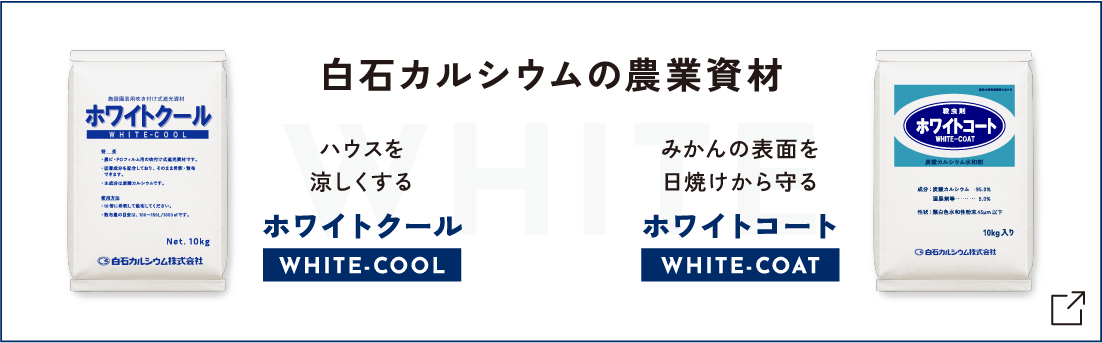 Bloom+ SHIRAISHI GROUP