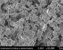 ヴァテライト板状粒子