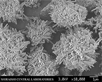 凝集体(針状粒子)