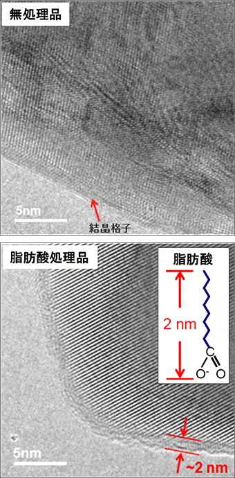無処理品および脂肪酸処理品の粒子表面を観察した透過型電子顕微鏡(TEM)像