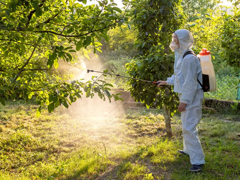 農薬「ホワイトコート」