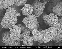 Aggregates (needle-like particles)